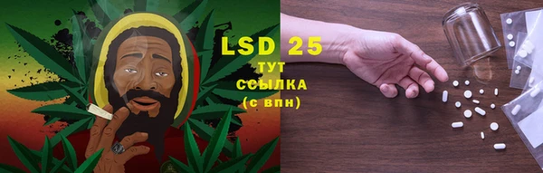 PSILOCYBIN Балахна