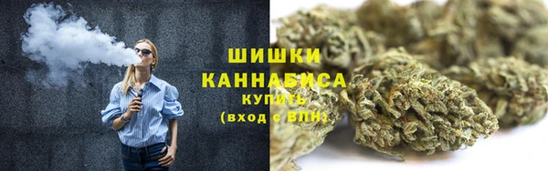 PSILOCYBIN Балахна