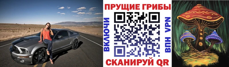 мега маркетплейс  Калачинск  Галлюциногенные грибы мицелий  цена  
